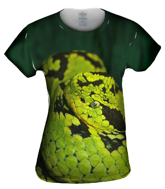 Snake 001